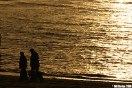 Couple and dog, South Beach.