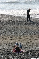 Curved beach in spring.