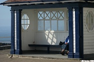 Compositionally astute pigeon at the "Pagoda Shelter"