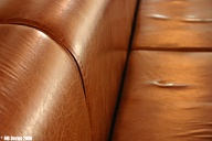 Varsity sofa.