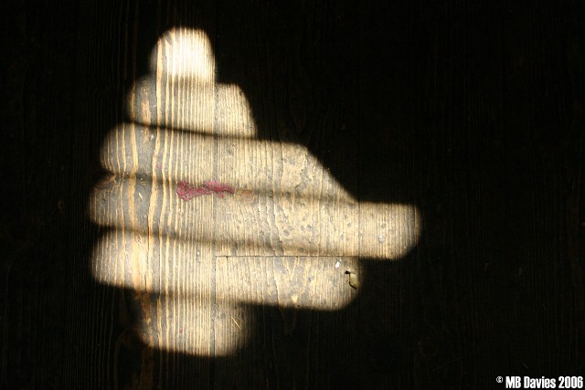 Fwyl073